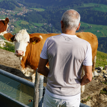 Lade das Bild in den Galerie-Viewer, Armailli - Armailli Bredzon Beige - Gruyère Montagne Fribourg Alpes
